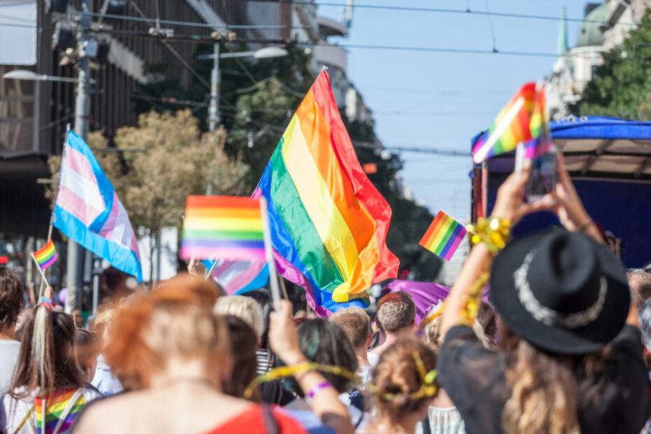 trans & lgbtq+ flags at a pride march